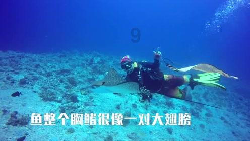 逃离违建房屋7